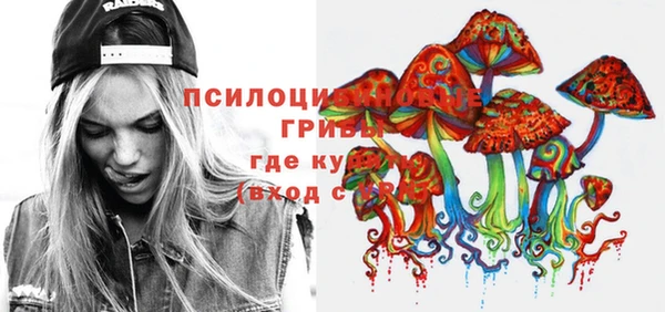 герыч Алексин