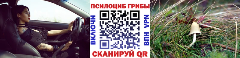 hydra ссылки Приозерск Псилоцибиновые грибы MAGIC MUSHROOMS купить сайты